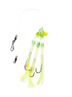 Behr Dorsch + Köhler-System Fluo