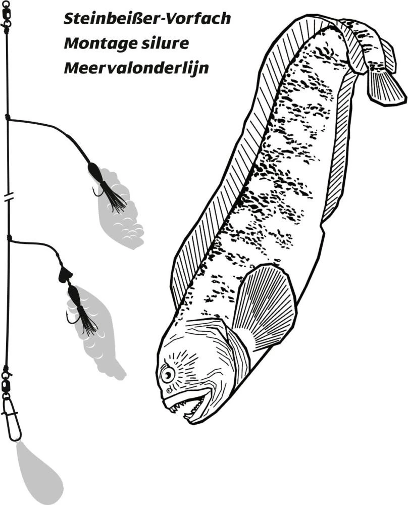 Rhino Steinbeisser-Vorfach 4 Rhino Steinbeisser-Vorfach – Bild 2