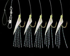 DEGA Heringsvorfach Mit Echter Fischhaut