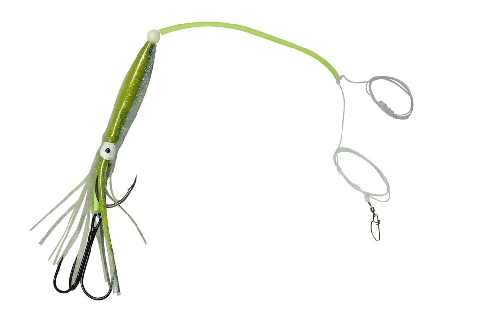 Dieter Eisele Leng Zielfischsystem II 3 Dieter Eisele Leng Zielfischsystem II