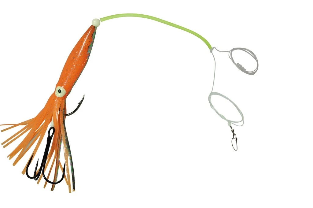 Dieter Eisele Leng Zielfischsystem II 7 Dieter Eisele Leng Zielfischsystem II – Bild 5