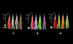 DEGA Octopus-System Mit 4 Armen 7 DEGA Octopus-System Mit 4 Armen -Angeln Rabatt Laden Dega Octopus System mit 4 Arme Galeriebild 770522eZzFAaiIfOm1K 1280x1280