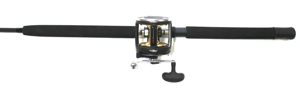 FLADEN Warbird / Maxximus Meeres-Ruten-Rollenkombo 4 FLADEN Warbird / Maxximus Meeres-Ruten-Rollenkombo – Bild 2