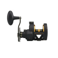 PENN FATHOM II STAR DRAG - Multirolle -Angeln Rabatt Laden PENN Fathom II Star Drag Reel 25 2019 alt3uD4jjkS0Hw8bZ 1280x1280