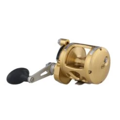 PENN Internationl VI - Multirolle -Angeln Rabatt Laden PENN International VIS 16 Gold 2018 1370776 alt2FeFLL73dkR3ue 1280x1280