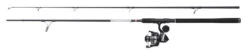 PENN Pursuit IV Spinning Combo