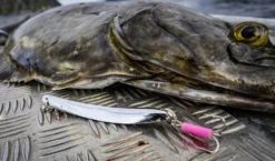 Rhino Chromat Pilker Bleifrei -Angeln Rabatt Laden resize img 2 764358 1280x1280